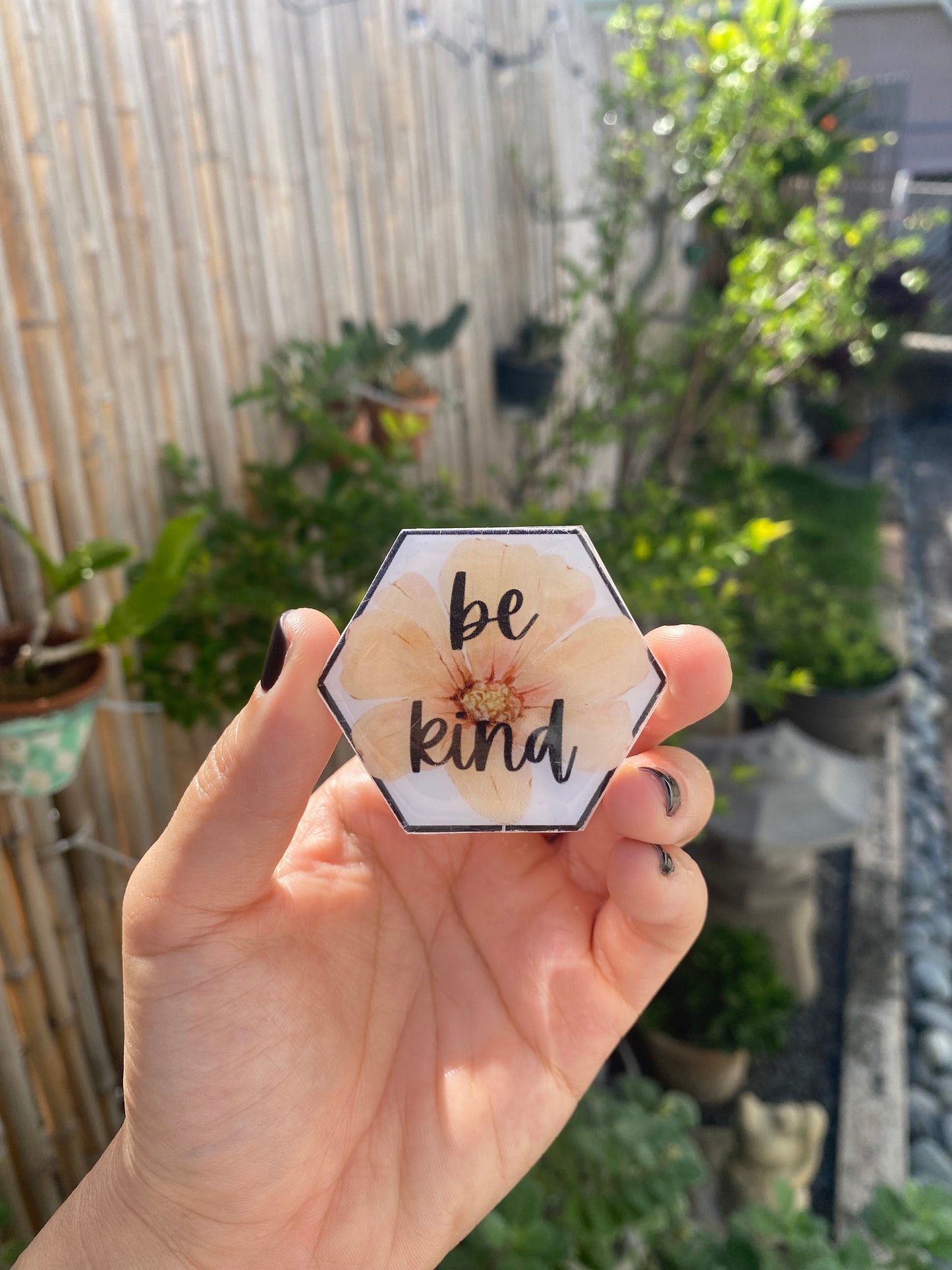 Be Kind Push Pins